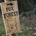 fox forest sign