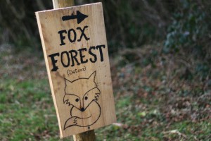 fox forest sign