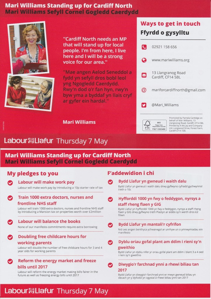 Mari Williams election leaflet