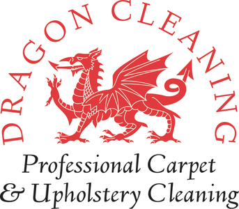 Dragon Cleaning logo