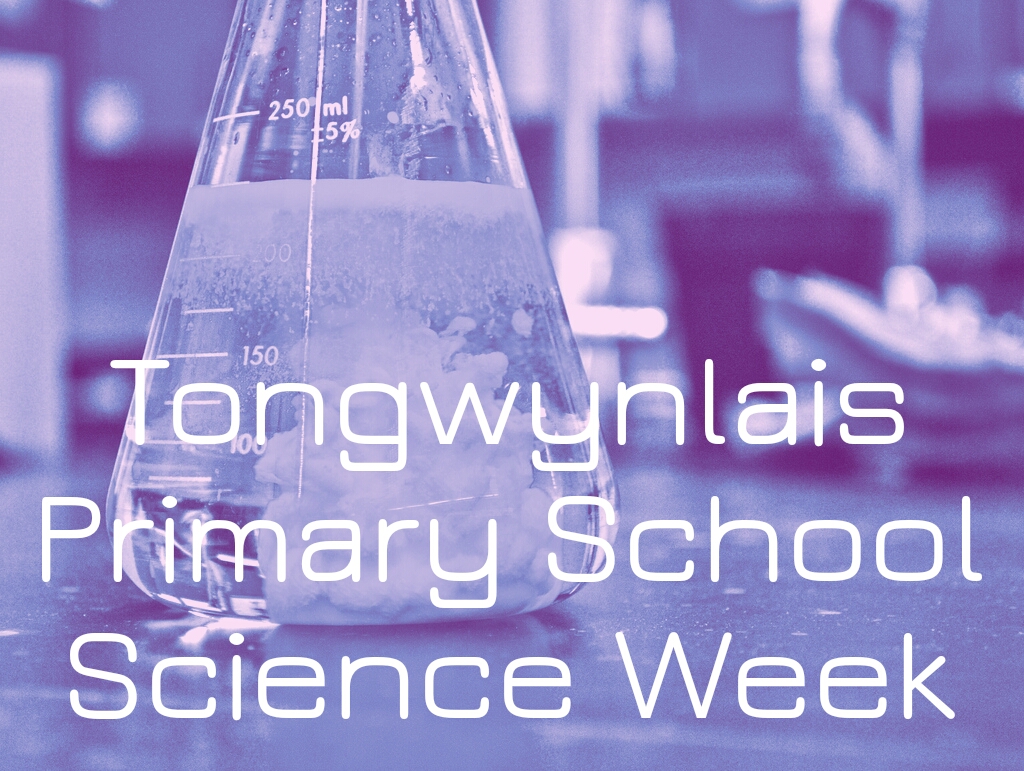 Tongwynlais Primary Science Week Header
