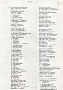 List of plant species around the Garth - 1967