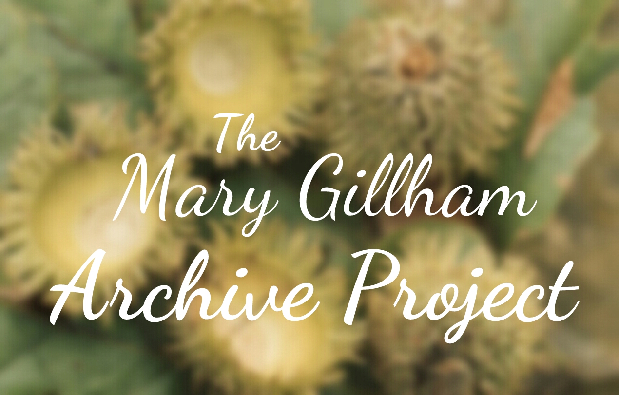Mary Gillham Archive Project header