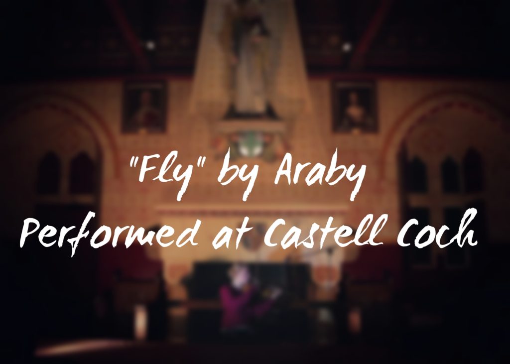 Fly by Araby header