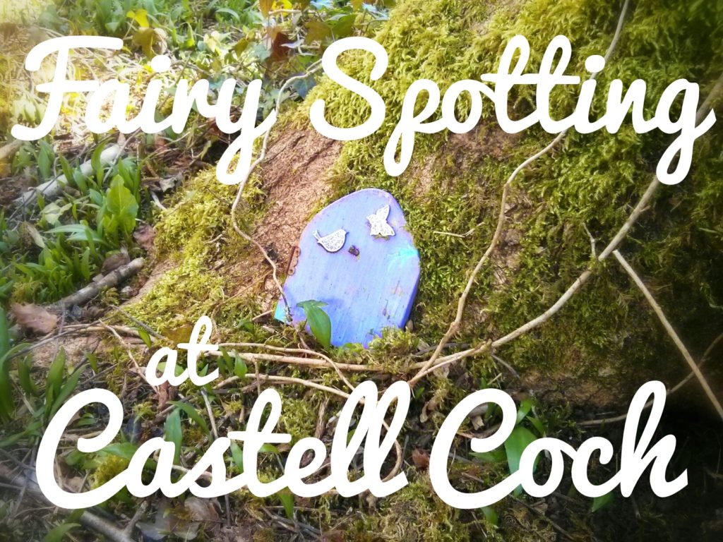 Fairy spotting at Castell Coch