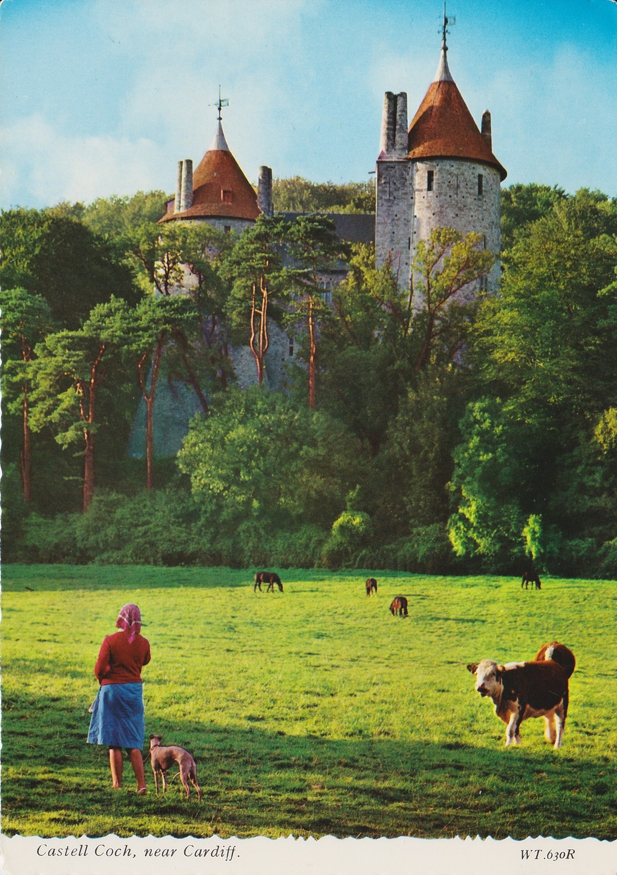 Old postcard featuring Castell Coch