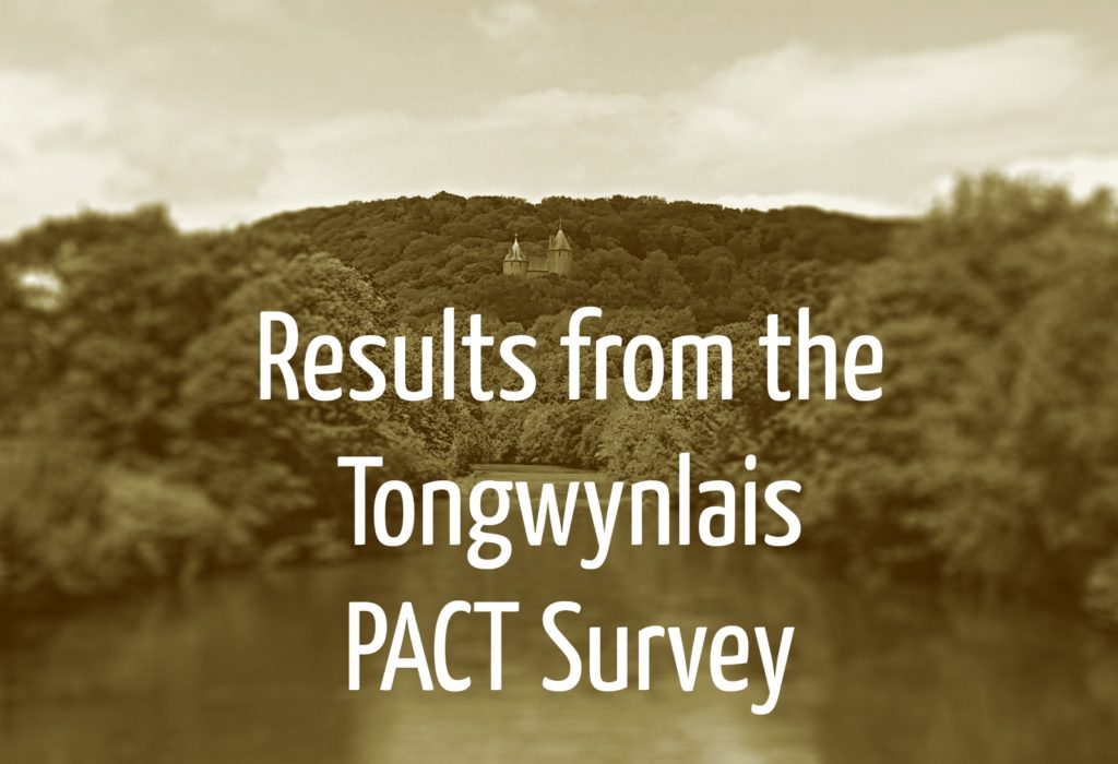 Tongwynlais PACT Survey header