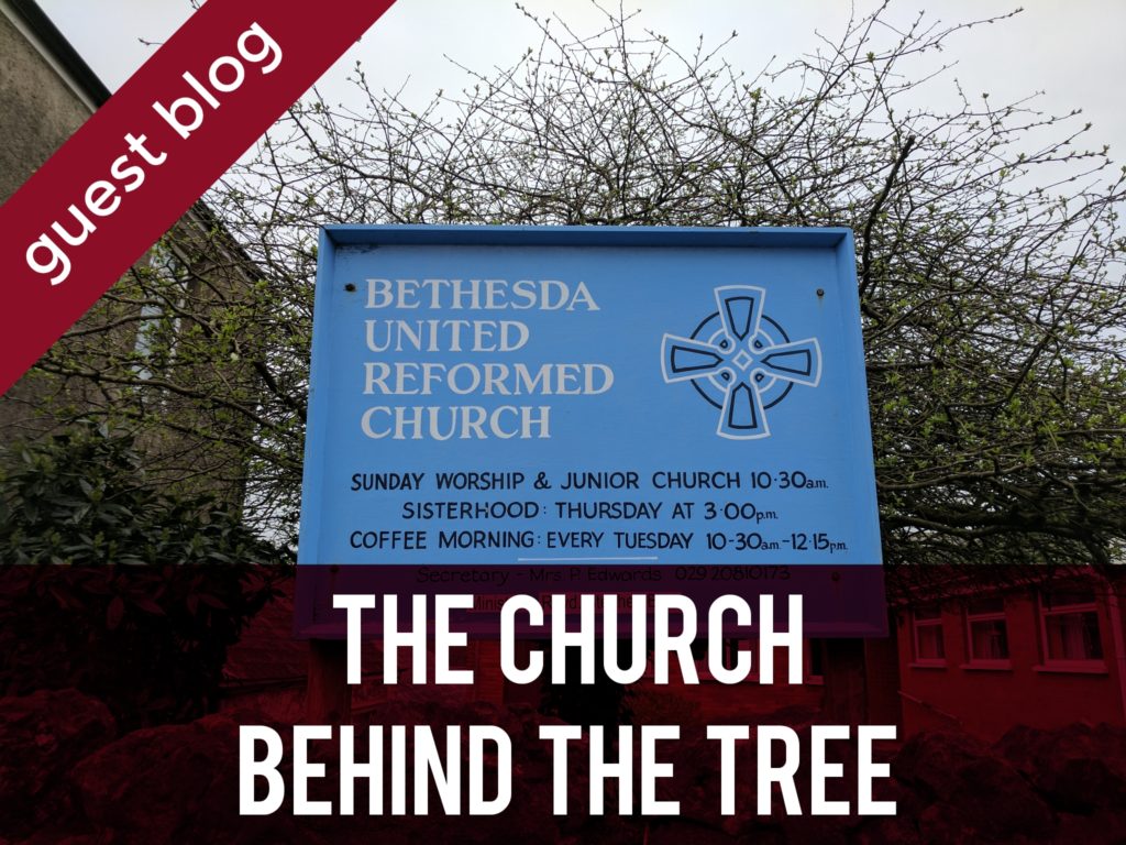 Bethesda Chapel - The Church Behind the Tree header