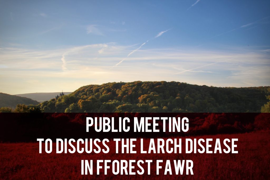 Public meeting to discuss larch disease in fforest fawr header