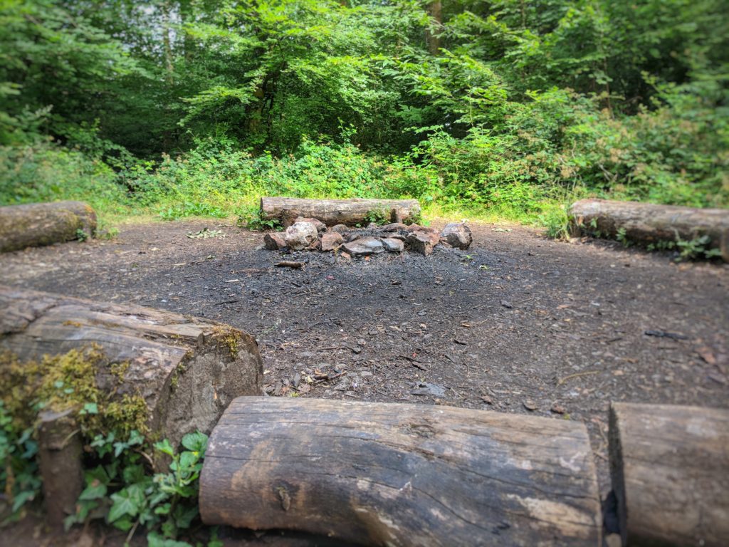 Log circle in Fforest Fawr
